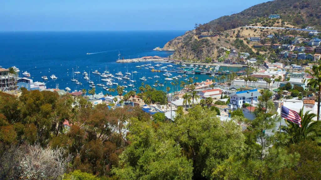 A scenic view of a harbor filled with boats, surrounded by hills and colorful buildings near the coastline.