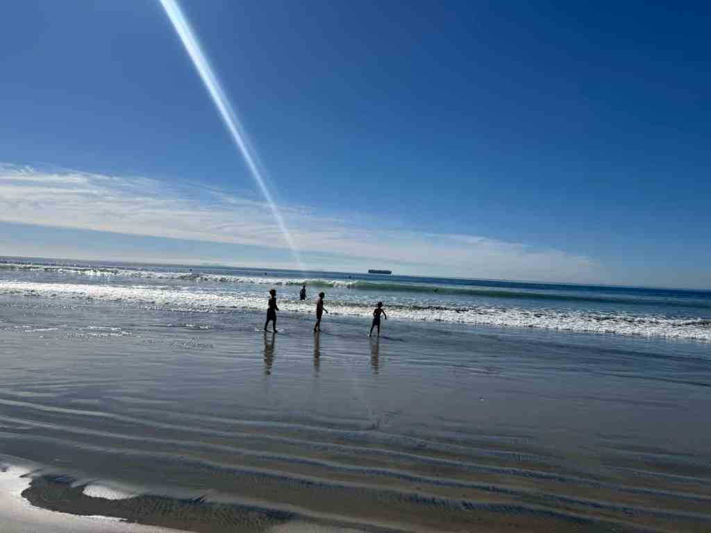 Four people walking along a beach near the water with gentle waves under a clear blue sky.