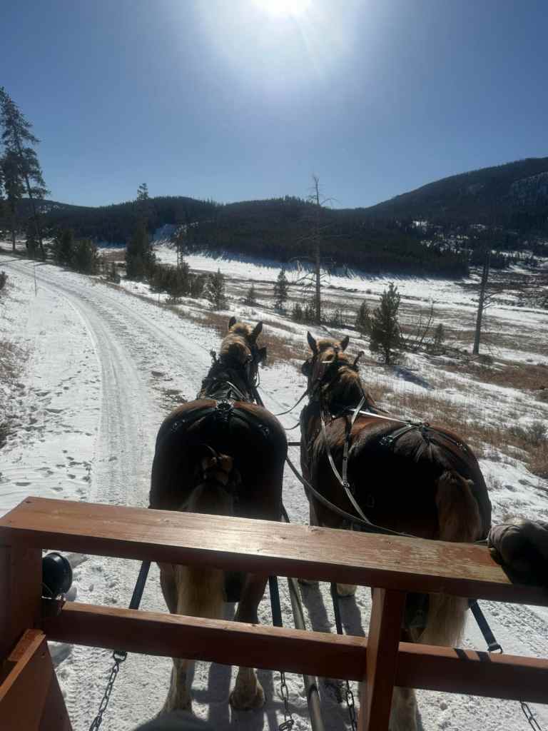 Two horses wearing harnesses pull a sleigh along a snowy path, with mountains and a clear blue sky in the background.