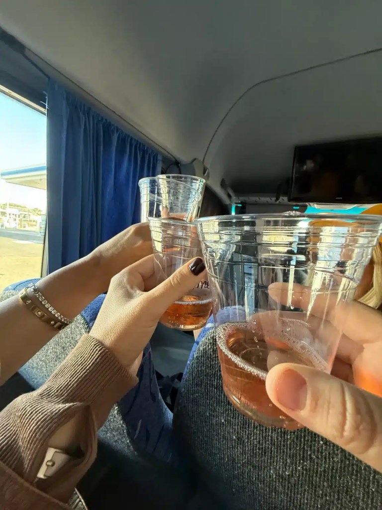 Four hands holding clear plastic cups filled with a pink beverage, celebrating in a cozy setting with blue curtains in the background on a Valle de Guadalupe wine tour.