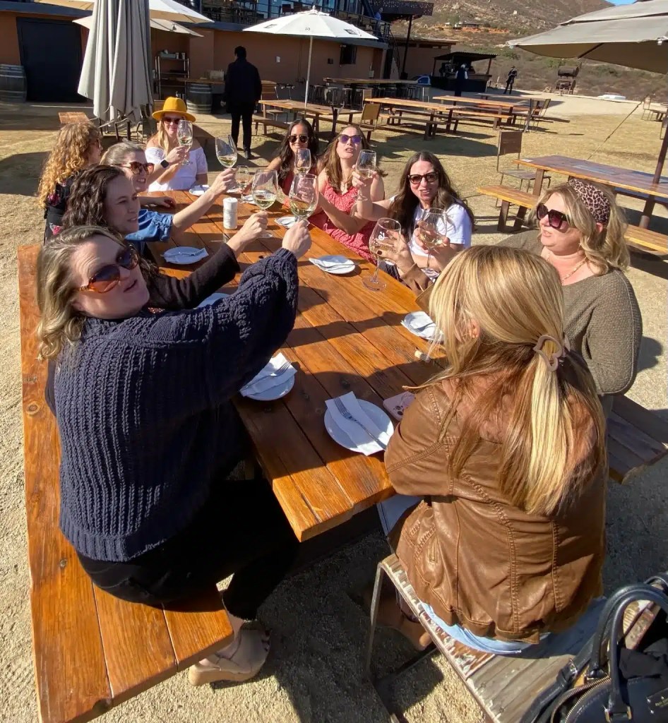 A group of women gathered around a wooden table outdoors, raising their glasses in a toast, enjoying a sunny day wine tasting in Mexico.