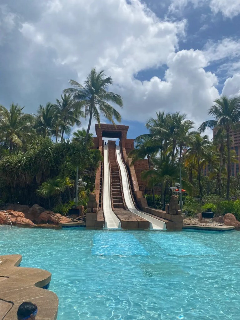 A double waterslide with palms tress surrounding it at one of the best water parks in America