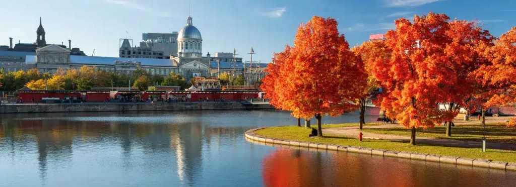 Fall foliage on a New England cruise