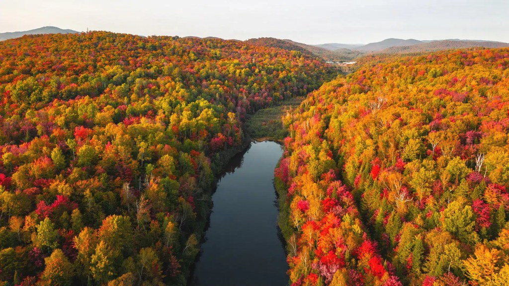 A fall foliage cruise in New England