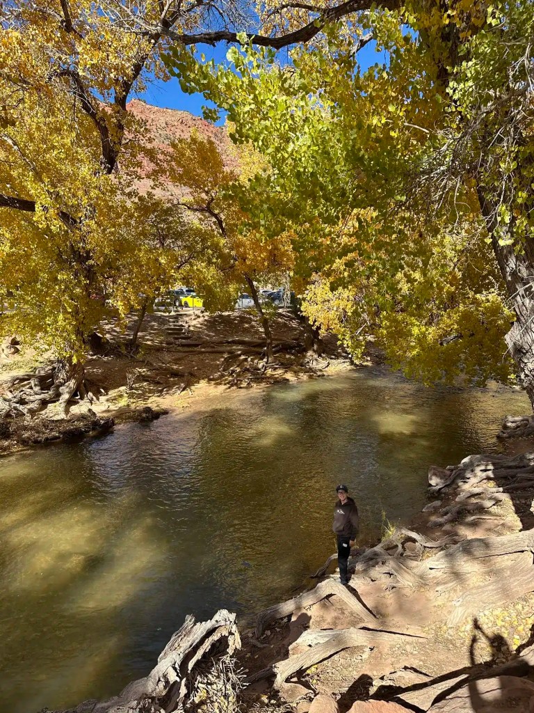 img_5414 Person standing by a riverbank surrounded by yellow autumn trees under a clear blue sky while on a family vacation in Utah.