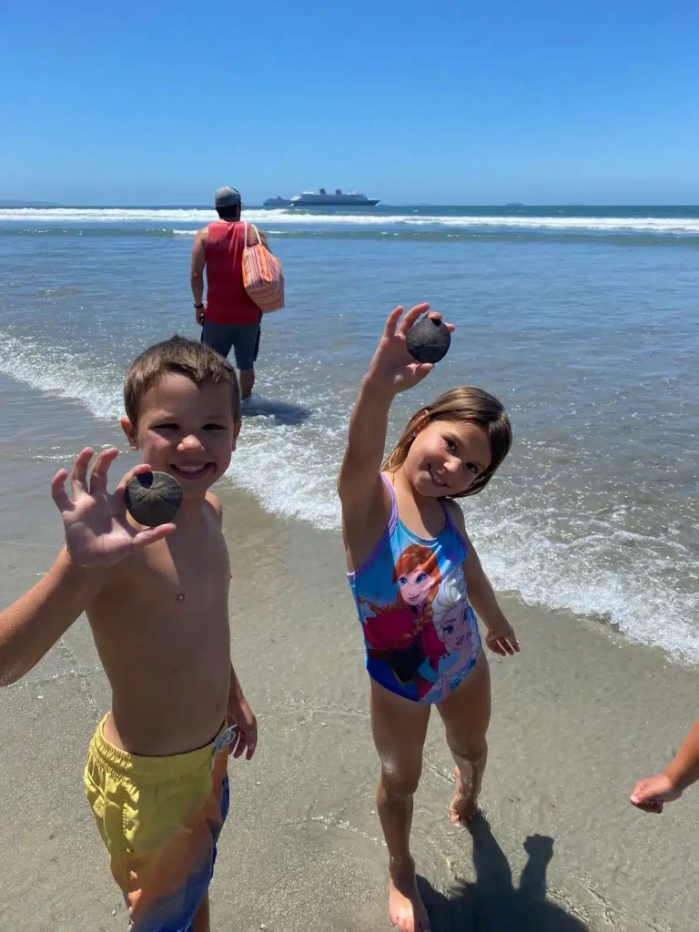 Two kids holding sand dollars at a beach during their family summer vacation