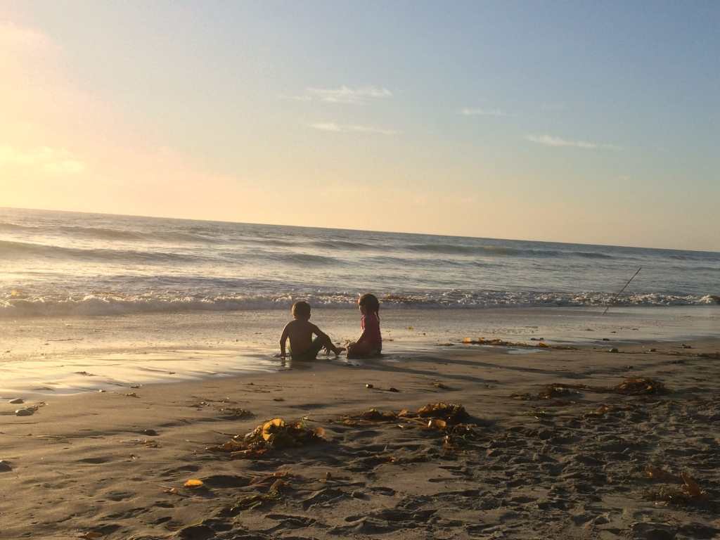 The beach at South Carlsbad state beach campground