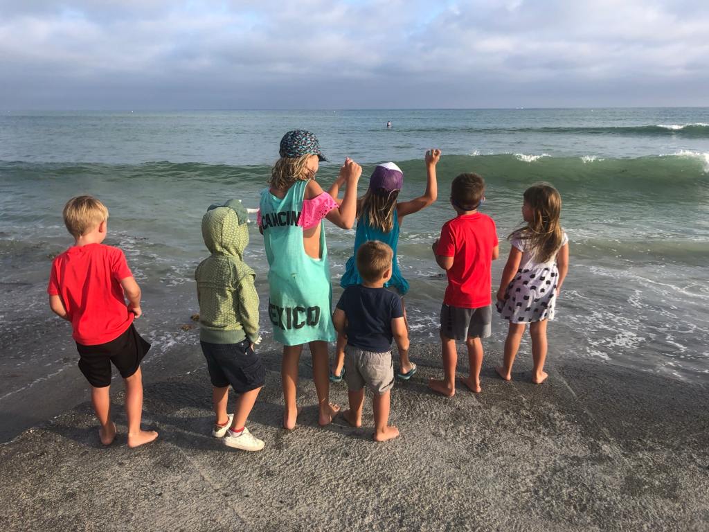 A group of kids playing in the waves at the Doheny state beach campground