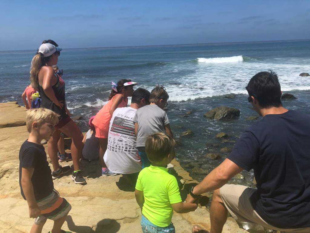 Tidepools at one of the best beaches of San Diego