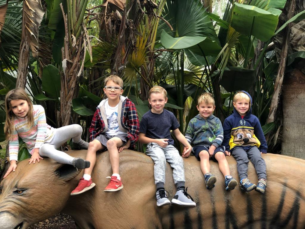 The San Diego Zoo is one of the best things to do in San Diego