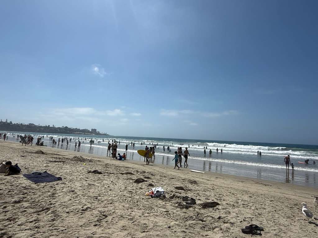 Spending a day at La Jolla Shores is one of the best things to do in San Diego